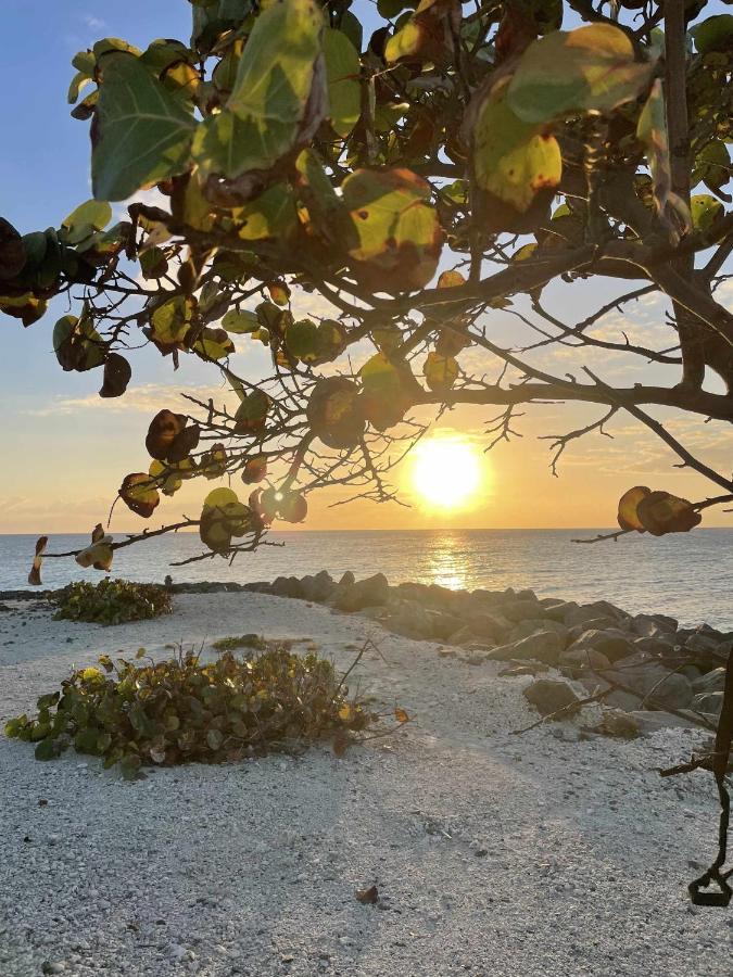 El Mundo Soleado Daire Santa Pola Dış mekan fotoğraf