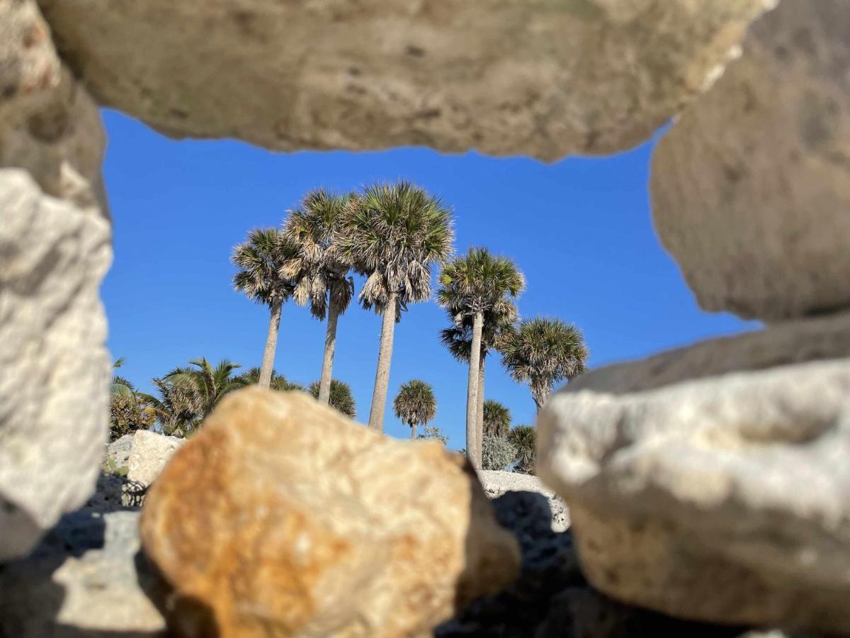 El Mundo Soleado Daire Santa Pola Dış mekan fotoğraf